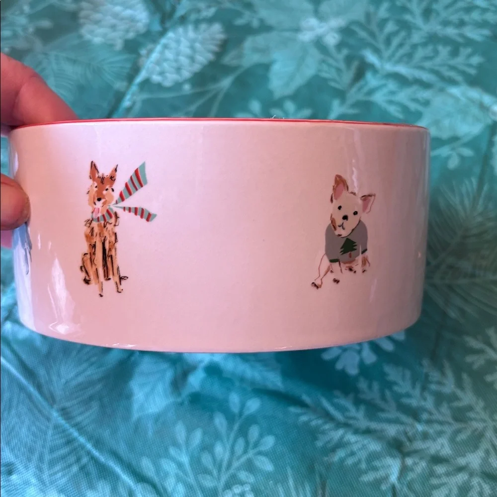 NEW Beth Briggs ceramic dog bowl!